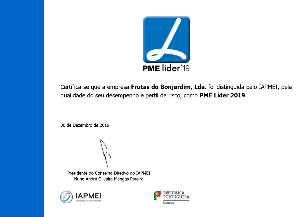 Estatuto PME Líder 2019